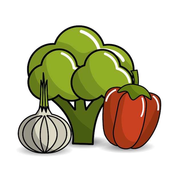 broccoli, garlic and red pepper vegetable icon