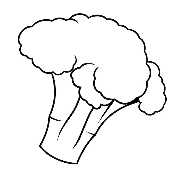 Broccoli hand drawn coloring book illustration