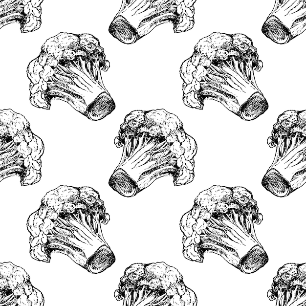 Broccoli hand drawn seamless pattern vector illustration Vegetable engraved style