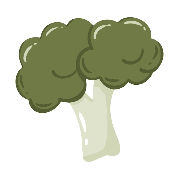 Vector broccoli icon hand drawn vector illustration