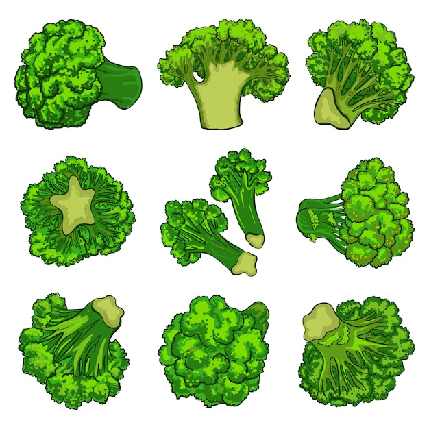 Broccoli icon set