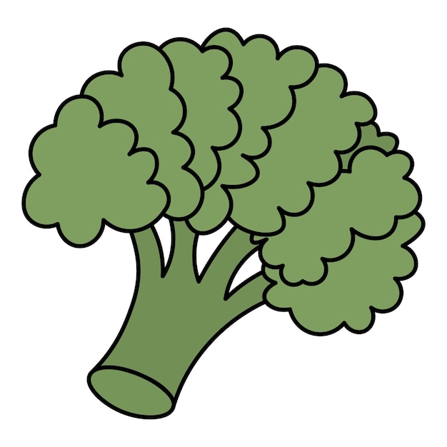 Broccoli Inflorescence of green cabbage Healthy vegetable in cartoon style