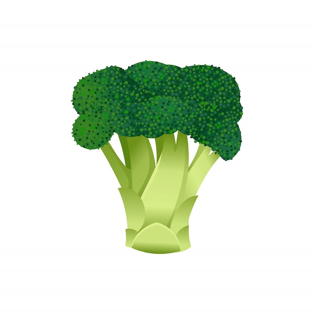 Broccoli isolated