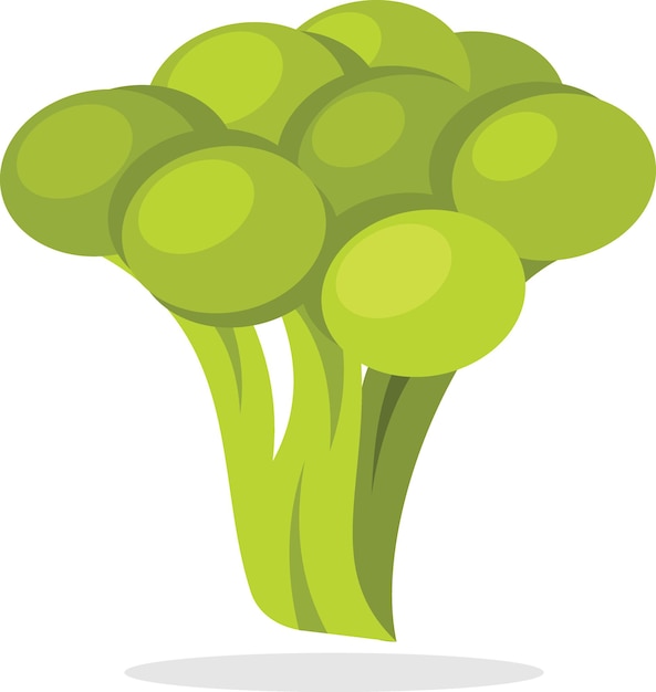 Vector broccoli pictogram geïsoleerde achtergrond