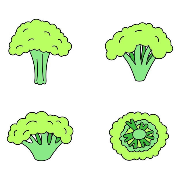 Broccoli plant icon set Outline set van broccoli plant vector iconen dunne lijn kleur vlak op wit