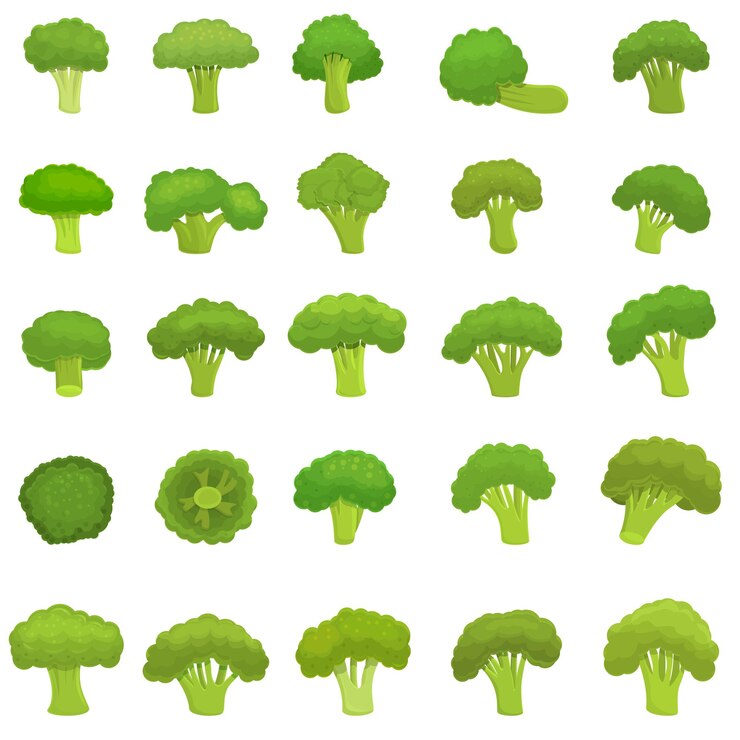 Vector broccoli set. cartoon set of broccoli