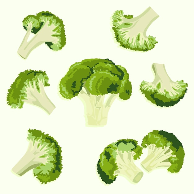 Broccoli vector iconen set