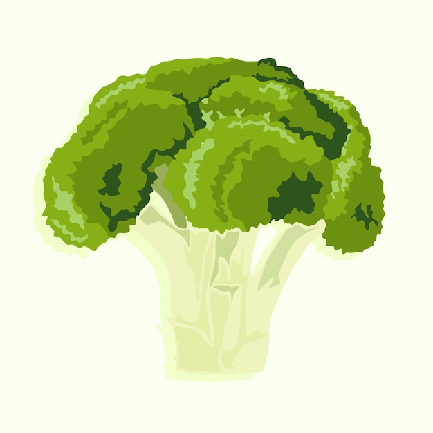 Broccoli vector icoon geïsoleerd