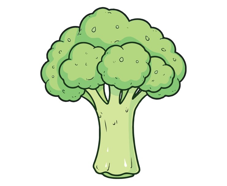 Vector broccoli vegetable coloring page