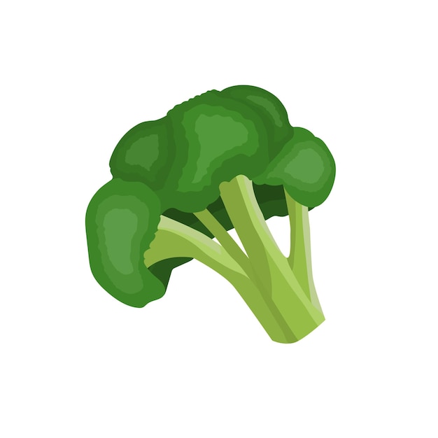 Illustrazione vettoriale di broccoli verdura icona