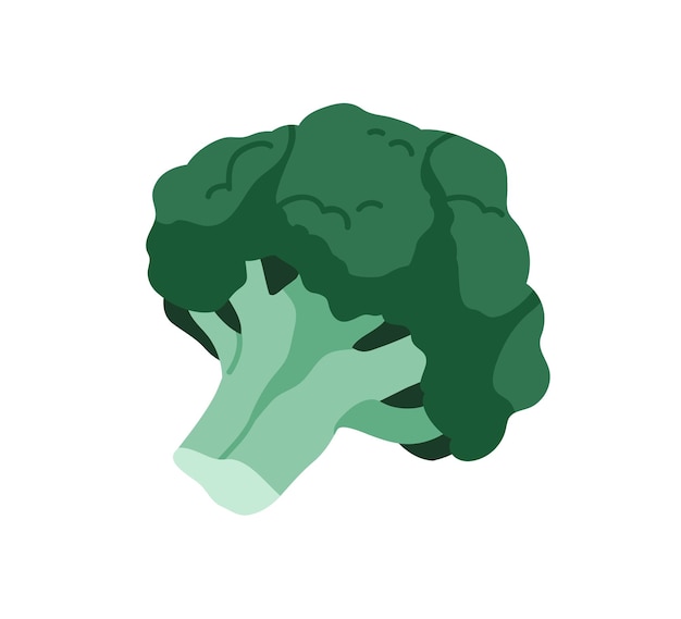 Broccoli, verse rauwe groente met kop en steel. Brocoli, groene boomkool. Vegetarisch eten, natuurlijke groente. Platte vectorillustratie geïsoleerd op een witte achtergrond