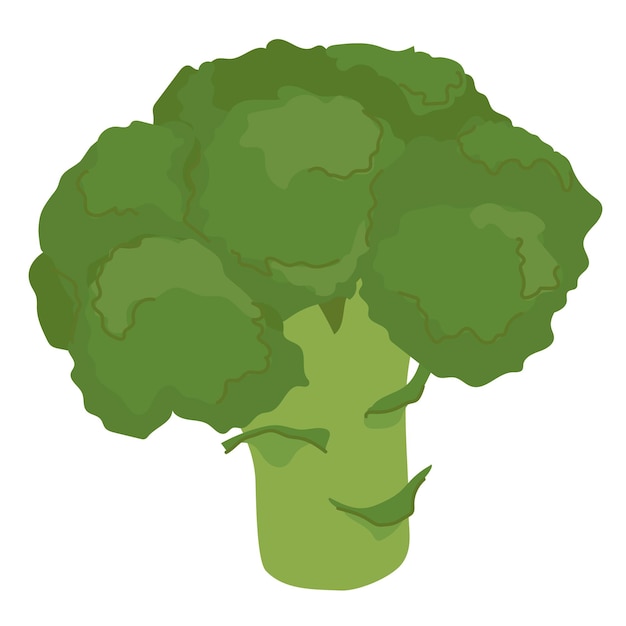Брокколи с головой и стеблем Векторная иллюстрация в плоском стиле Свежие сырые овощи зеленая деревянная капуста Векторская иллюстрация, изолированная на белом фоне в стиле мультфильма