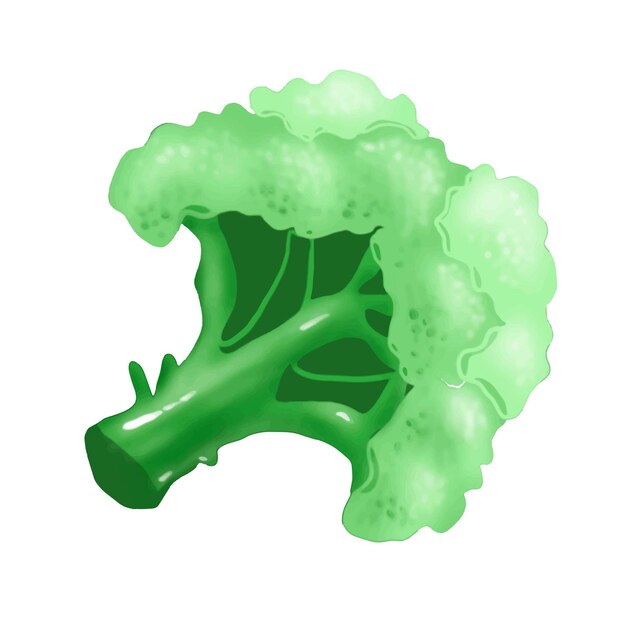 Vector broccoli