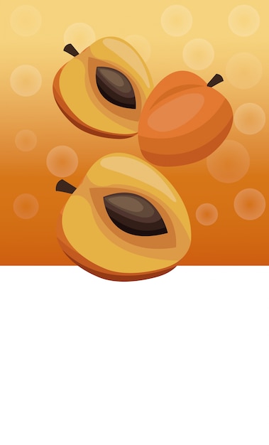 Brochure apricot fruit blank 