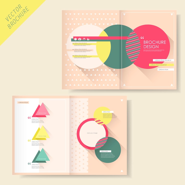 Vector brochure design with triangle and circle