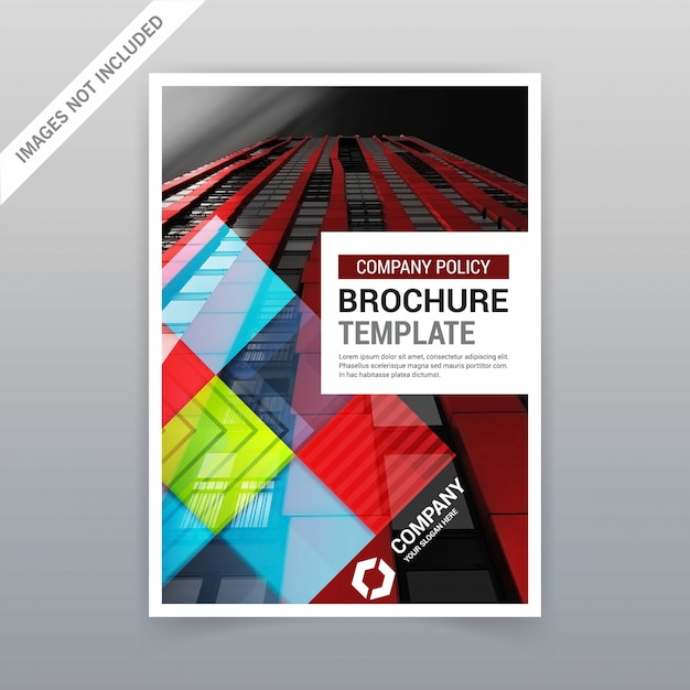 Brochure template with colorful design vector