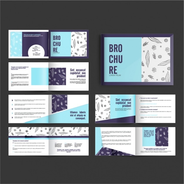 Vector brochure templates with feathers