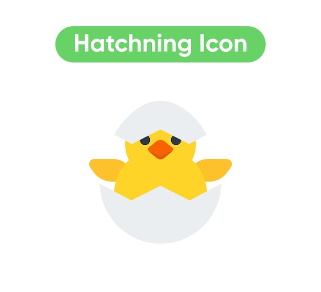 Broedeieren Chick vector geïsoleerd pictogram Broedeieren Emoji illustratie