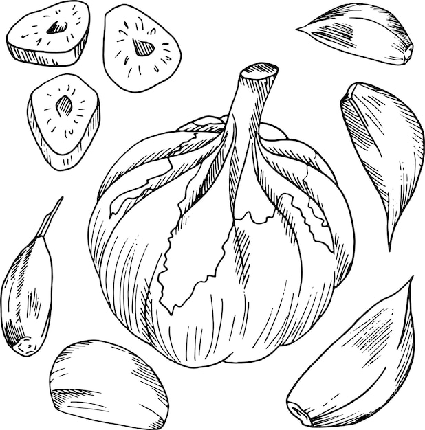 A broken clove of garlic