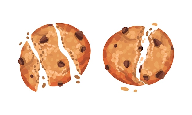 壊れた脆いビスケットセット チョコレートチップのオートミールクッキー ベクトルイラスト