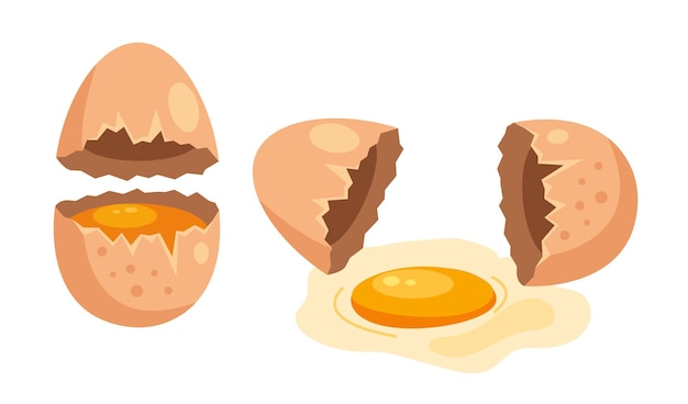 Broken egg with yolk abstract concept graphic design illustration element