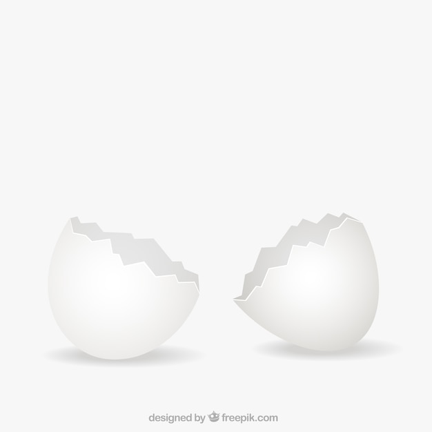 Broken eggshell