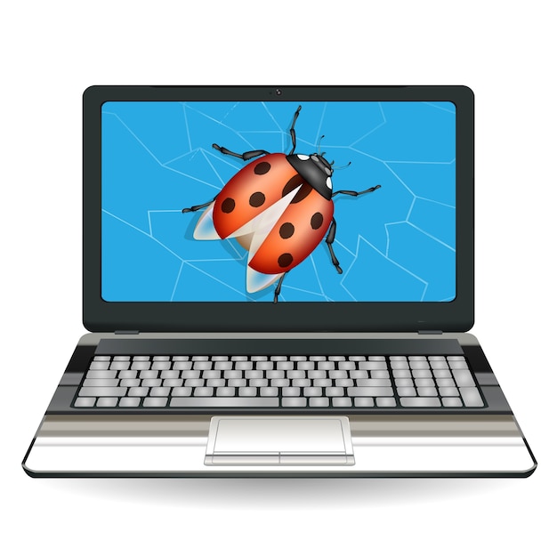 Computer portatile rotto distruggere da un bug