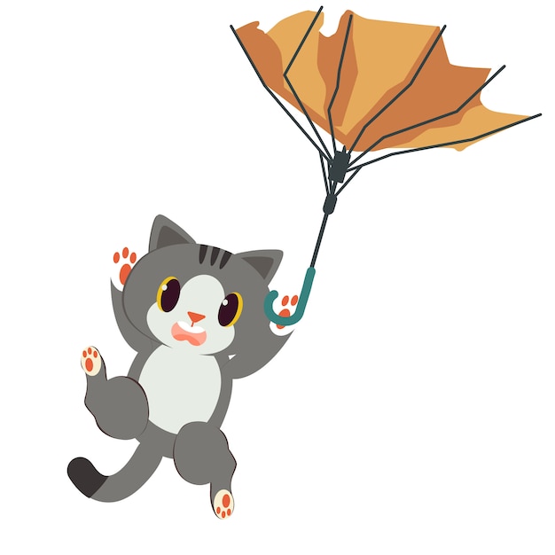 L'ombrello rotto con un set di gatti. il gatto con in mano un ombrello rotto. il gatto sembra spaventato