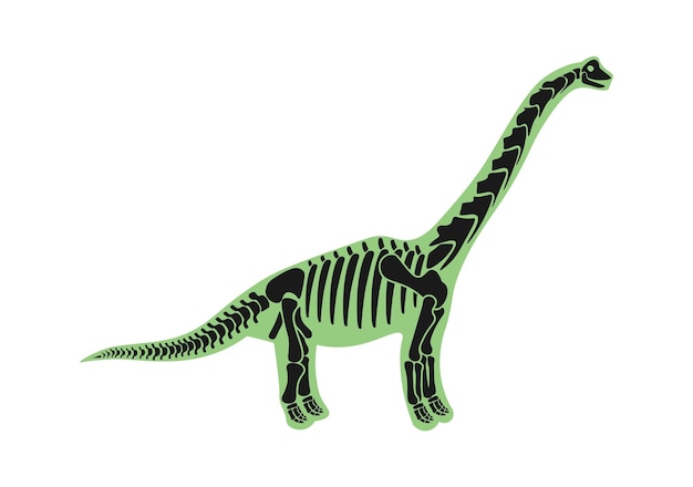 Brontosaurus dinosaurus skelet prehistorisch dier vectorillustratie