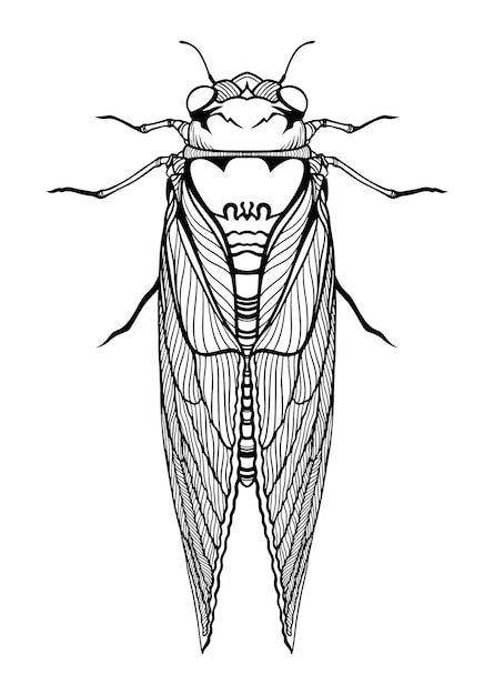 Brood x krekels insect 2021 grafische illustratie