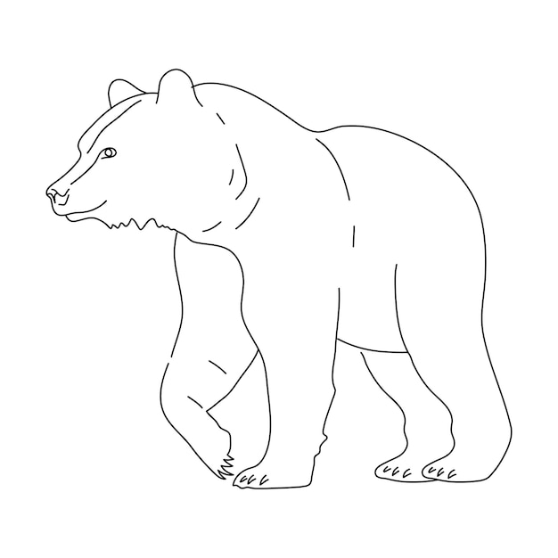 Vector brown bear in line art drawing style vector illustration