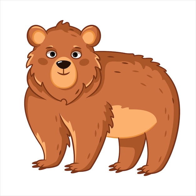 Brown bear stands and looks straight forest animals