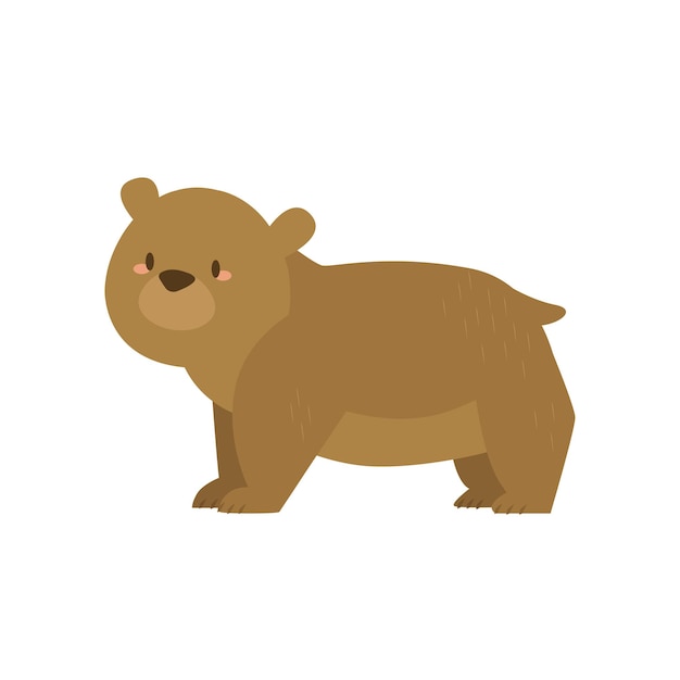 Brown bear