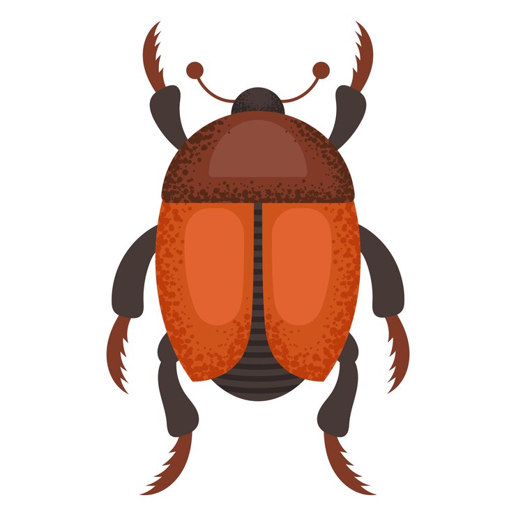Vector brown beetle
