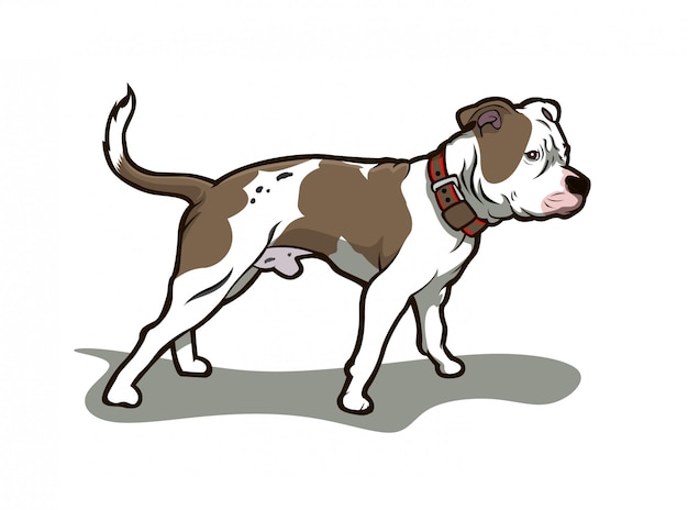 Vector brown bull dog