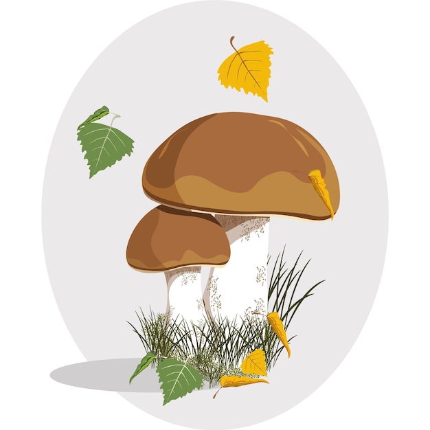 Illustrazione vettoriale del fungo porcino con cappuccio marrone modello di funghi