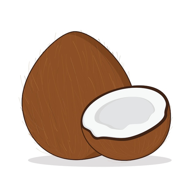 Коричневый кокосовый кокос кокосовая мясо вектор дизайн логотипа икона мультфильм иллюстрация