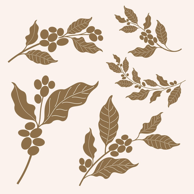 Vector brown coffee bean and leaf silhouette