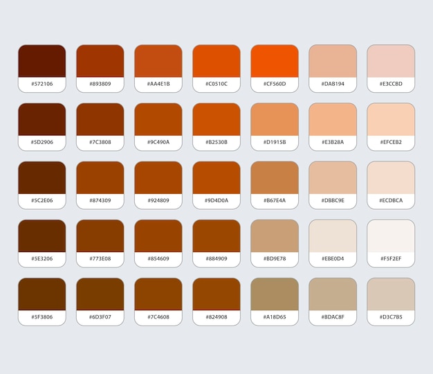 Vector brown color palette with hex