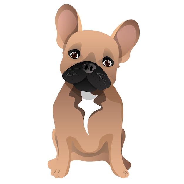 Vector brown cute french bulldog sitting