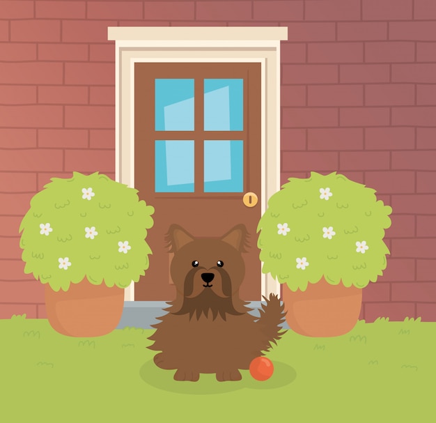 Коричневая собака сидит на заднем дворе дома с игрушкой по уходу за домашними животными