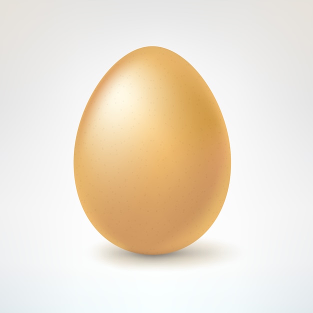 茶色の卵、白で隔離