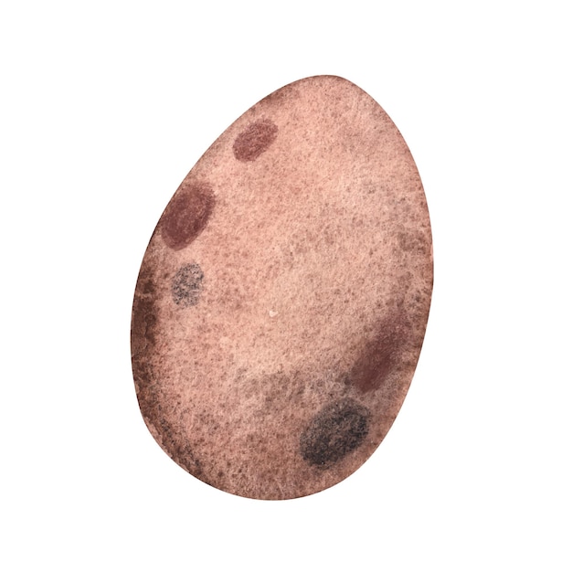 Brown egg watercolor illustration