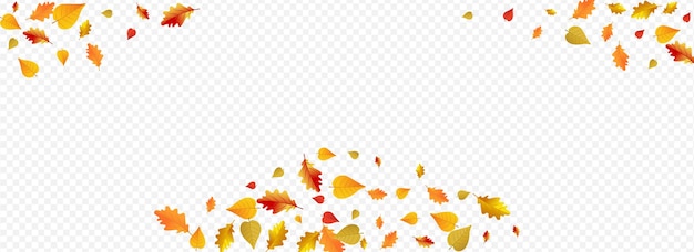 Vector brown floral panoramic transparent background. celebrate leaves illustration