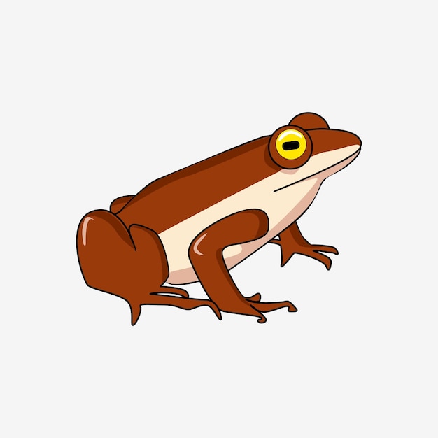 Vector brown frog illustration