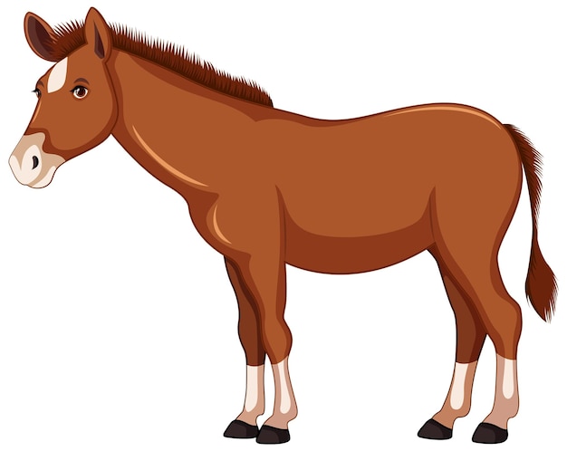 Vector brown horse cartoon