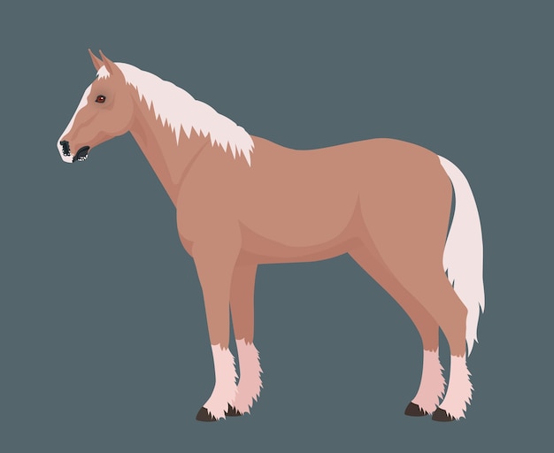 Vector brown horse side view