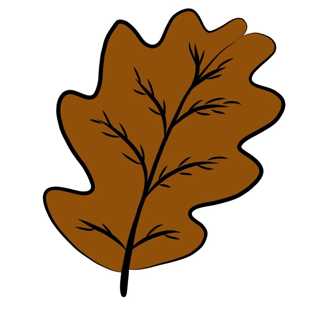 Vector a brown leaf with a brown outline of a maple leaf