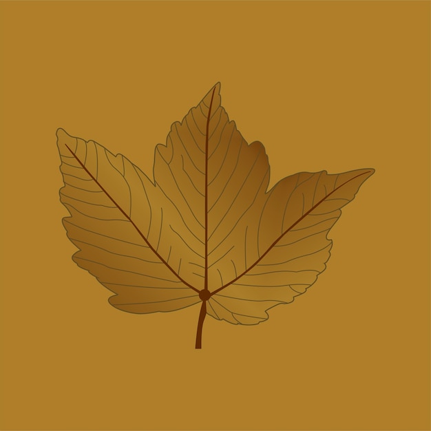 Vector a brown leaf with the word maple on it