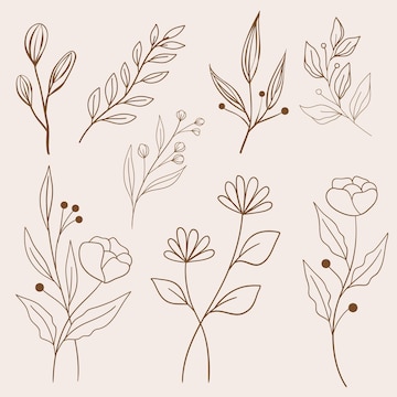 Premium Vector  Brown line flowers and leaf collection